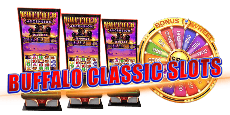 buffalo slot